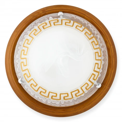 Настенно-потолочный светильник Toplight Gien TL9173Y-02OA