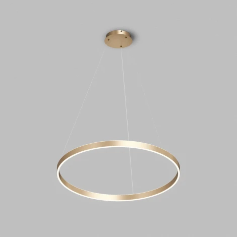 Подвесной светильник кольцо светодиодный Denkirs Raydia DK6272-SG