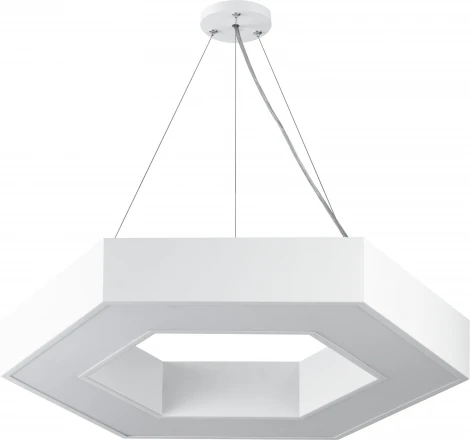 Подвесной светильник светодиодный ЭРА SPO-123-W-40K-045 (220V, на тросе, IP40)