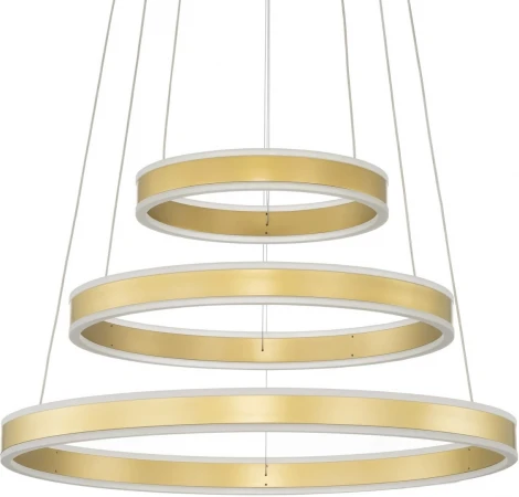 Подвесной светильник Citilux Дуэт CL719652 (регулировка яркости, LED, 220V, пульт управления, на тросе)