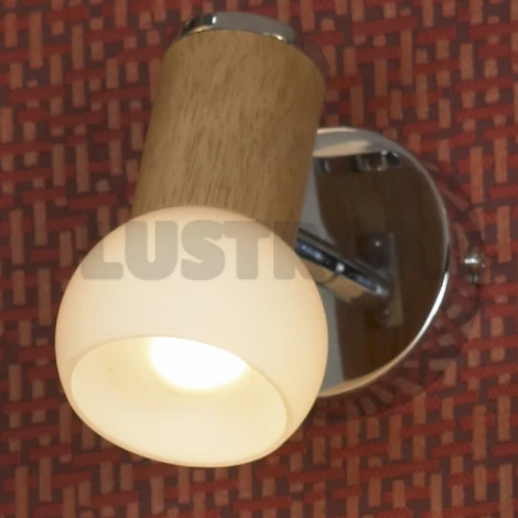Спот Lussole Saltara LSN-6001-01