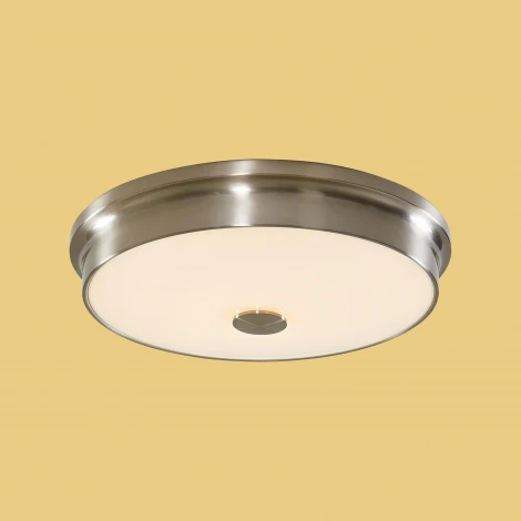 Потолочный светильник Citilux Фостер-2 CL706231