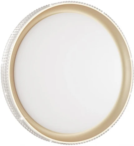 Настенно-потолочный светильник Sonex Shiny 3054/EL