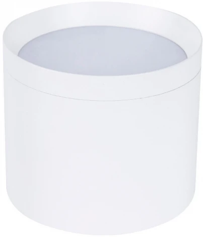 Накладной светильник потолочный Favourite Rote 4708-1C (220V, круглые)