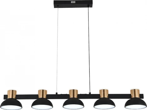 Подвесной светильник (11059/5PL Black) Indigo Traforo V000184L (регулировка яркости, LED, 220V, пульт управления, на тросе)