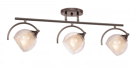 Потолочная люстра Silver Light Sfera 255.59.3