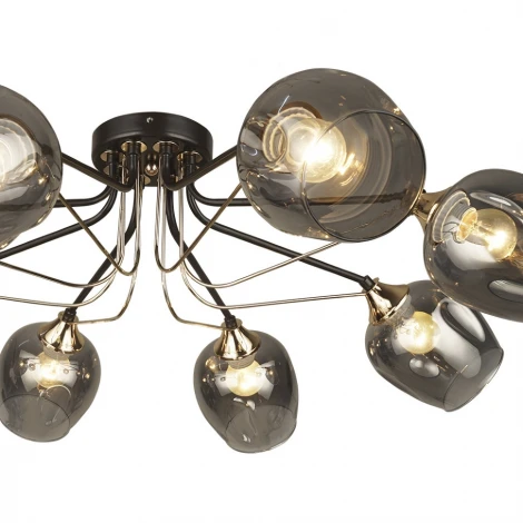 Потолочная люстра Wedo Light Nomalio 66557.01.15.08