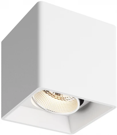 Накладной точечный светильник Denkirs DK3030 DK3080-WH+CH