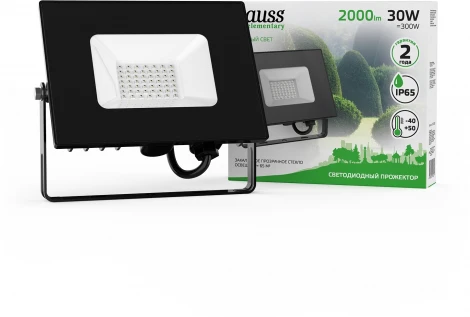 Прожектор уличный Gauss Elementary 613100630