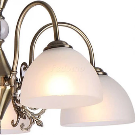 Дубравия Vilma NC-3-1-15-012-C-3