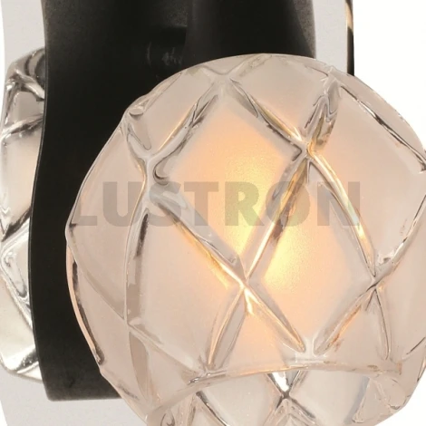 Спот Omnilux OML-218 OML-21801-01