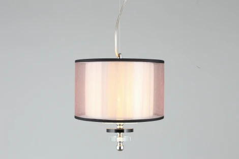 Подвесной светильник Aployt Floret APL.703.06.01 (220V, на тросе, круглые)