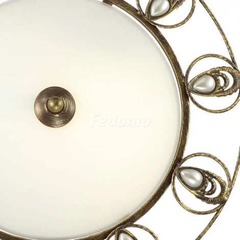 Настенно-потолочный светильник Odeon Light Kanti 3484/3C