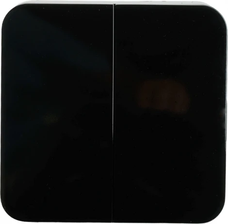 Выключатель двухклавишный (черный) Stekker София 49293