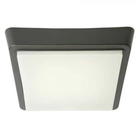 Светильник накладной светодиодный Feron AL3021 51478