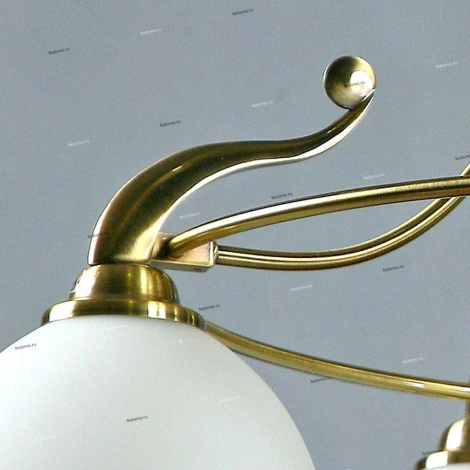Brizzi Almeria MA02401CB/004 Bronze