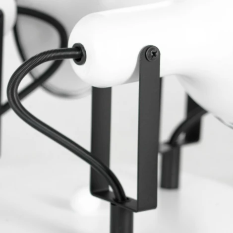 Спот Lussole Fargo LSP-8803 (220V)