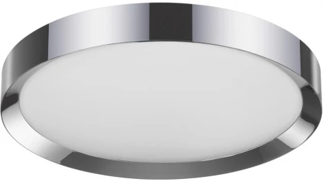 Настенно-потолочный светильник Odeon Light Lunor 4947/60CL