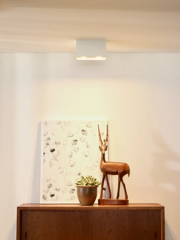 Накладной точечный светильник Lucide Bodi 09101/02/31 (220V)