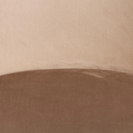 Стул TULIP SOFT (mod. 053V) / 1 шт. в упаковке (Дерево,Пластик,Вельвет /Бежевый)