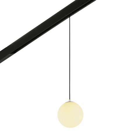 Трековый светодиодный светильник магнитный MyFar Sphere MT0223-10W3K-S-B (48V)