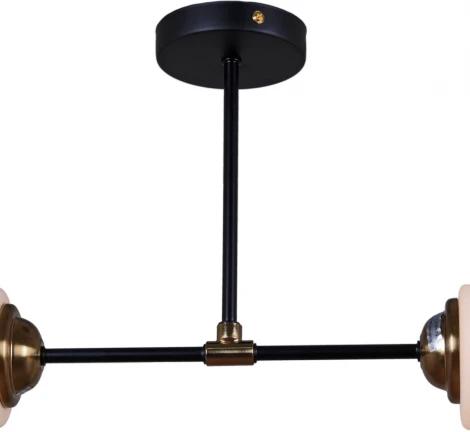 Потолочная люстра на штанге Reluce 32348-0.3-02 (220V)