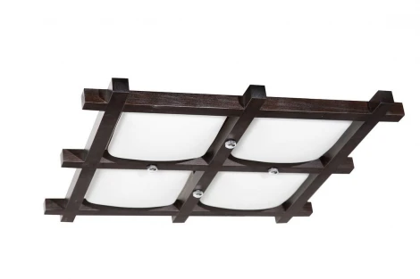 Потолочный светильник Дубравия Дина 192-41-24