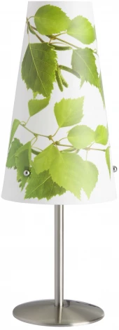 Интерьерная настольная лампа Brilliant Isi 02747/74