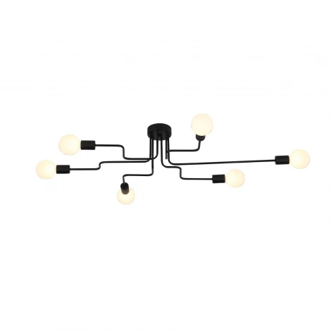 Потолочная люстра ST Luce Ano SL419.442.06