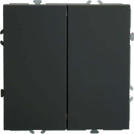 Переключатель двухклавишный (черный) Stekker Эмили 49843