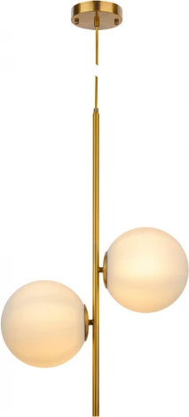 Подвесной светильник AM Group AM8510 AM8510 2L (220V, на проводе, шар)