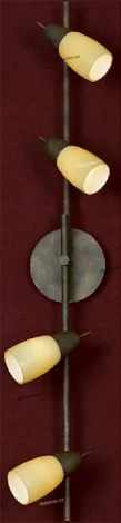 Настенно-потолочный светильник Lussole Cevedale LSQ-6919-04