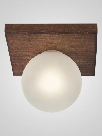 Потолочный светильник Мелодия Света SS1N 6426N-1 PR 000067478