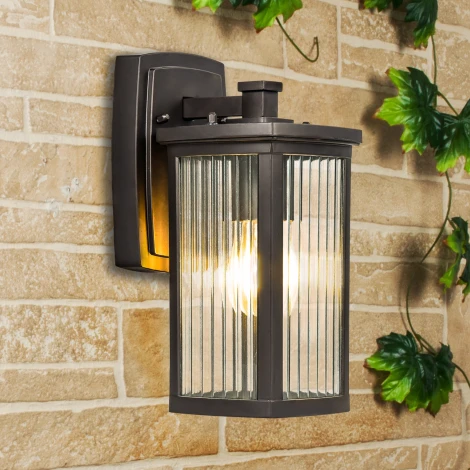 Настенный фонарь уличный Elektrostandard Lame GL 1006D (220V, IP33)