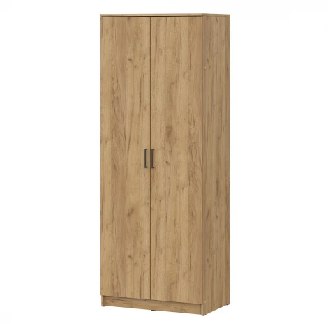 Шкаф распашной Арника ШК 2, Дуб золотой