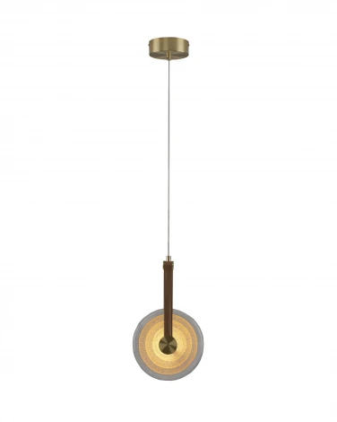 Подвесной светильник светодиодный Moderli Orbique V11679-PL