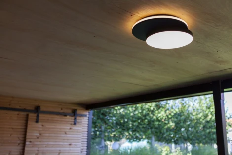 Потолочный светильник уличный светодиодный Oasis Light SIDNEY LED W2058 Bl (220V, круглые, IP44)