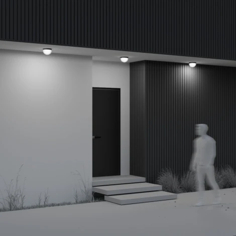 Уличный потолочный светильник Maytoni Mon O438CL-L12GF3K (LED, 220V, IP65)