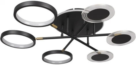 Потолочная люстра на штанге Megan 10164S Black (LED, 220V, круглые, кольцо)