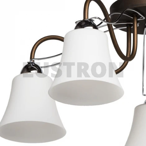 Потолочная люстра MW-Light Альфа 324013105