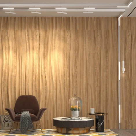 Трековый светильник Novotech Shino 358552 (LED, 48V, круглые)