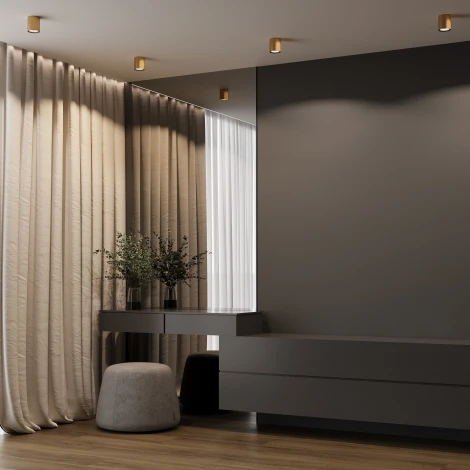 Светильник потолочный светодиодный Elektrostandard Primo 25116/LED 12W 4000K латунь 12W 4000K латунь (220V, круглые)