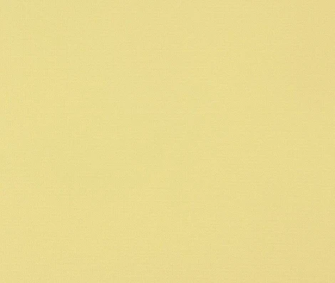 Обои виниловые Marburg Kunterbunt/Nena 57271 10,05 x 0,53 м
