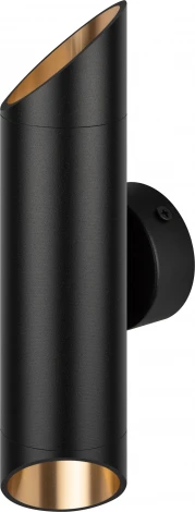 Настенный светильник ЭРА WL52 BK/GD