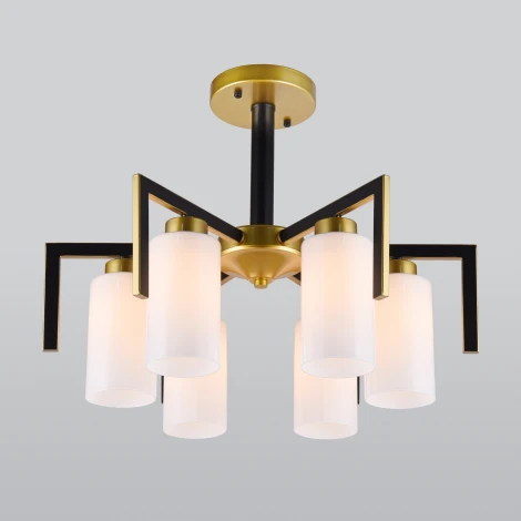 Потолочная люстра Eurosvet Palio 70126/6 черный