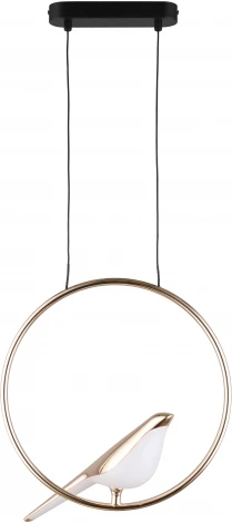 Подвесной светильник Aployt Astor APL.822.06.10 (LED, 220V, на тросе, кольцо, птички)