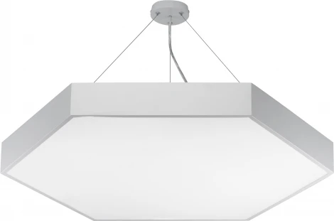 Подвесной светильник светодиодный ЭРА SPO-122-W-40K-066 (220V, на тросе, IP40)