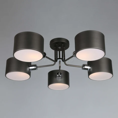 Потолочная люстра Omnilux Liser OML-54507-05 (220V)
