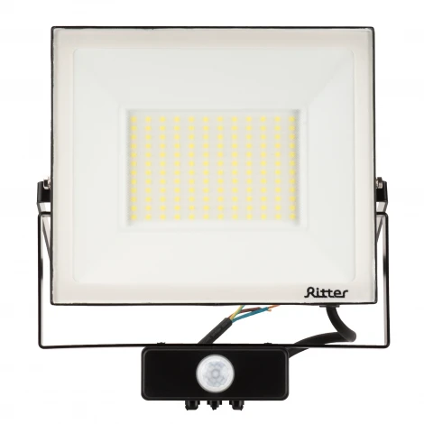 Прожектор уличный светодиодный с датчиком движения PROFI Ritter 53424 6