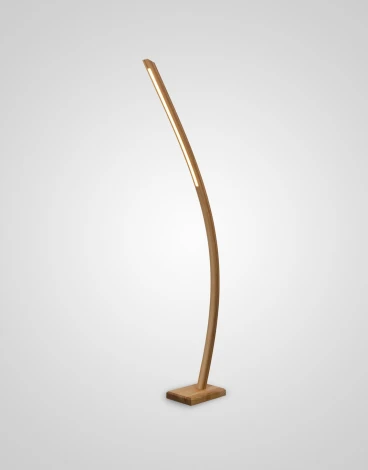 Торшер Мелодия Света FL2L 000050619